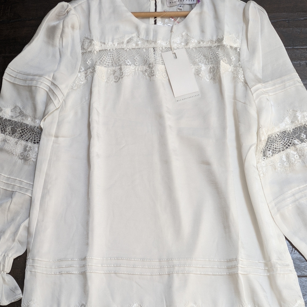 NWT Endless Rose lace dress - Picture 3 of 16